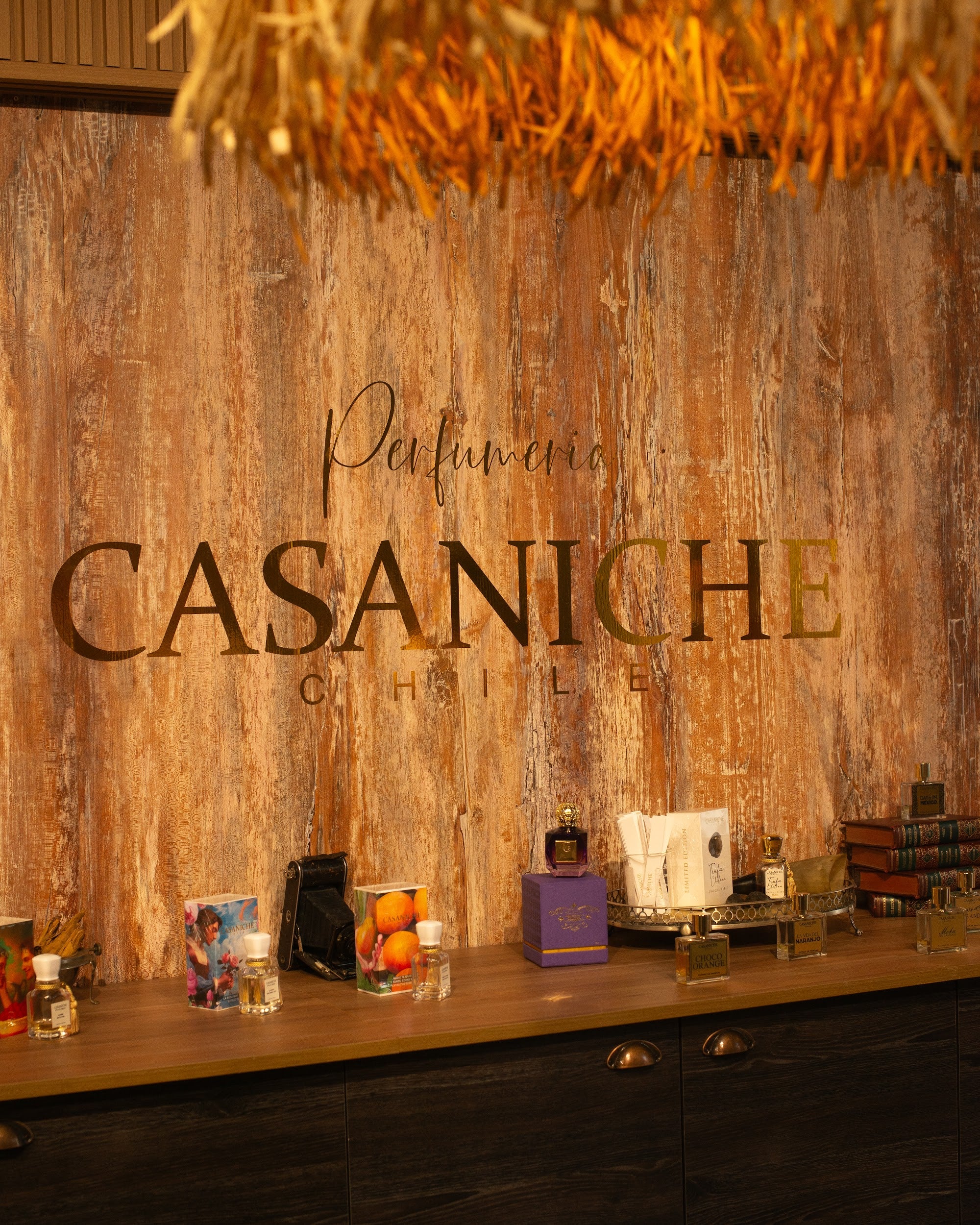 CASANICHE