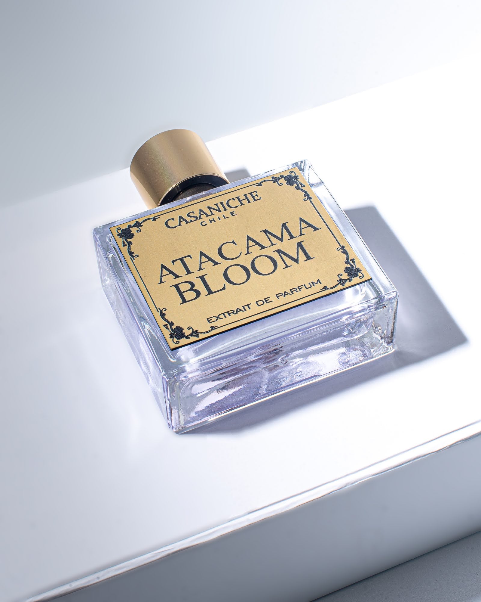 ATACAMA BLOOM CASANICHE