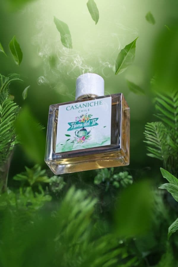 HORA DEL TE CASANICHE
