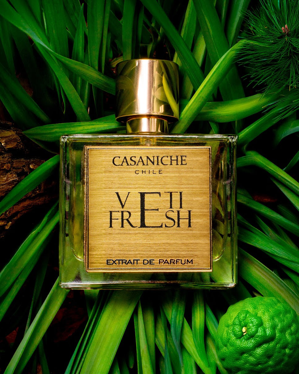 VETI FRESH CASANICHE