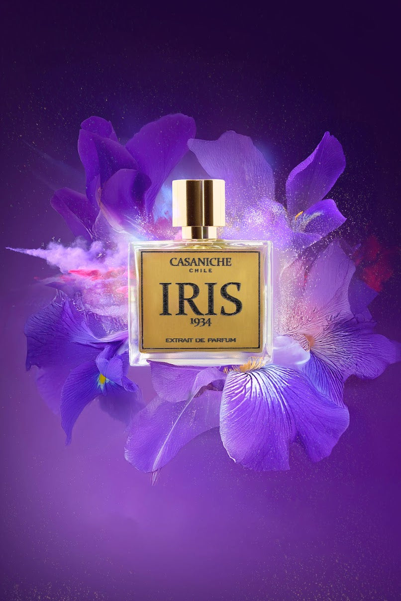 IRIS 1934. CASANICHE